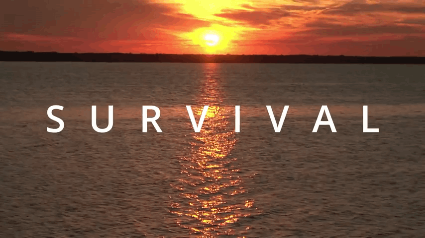 Survival